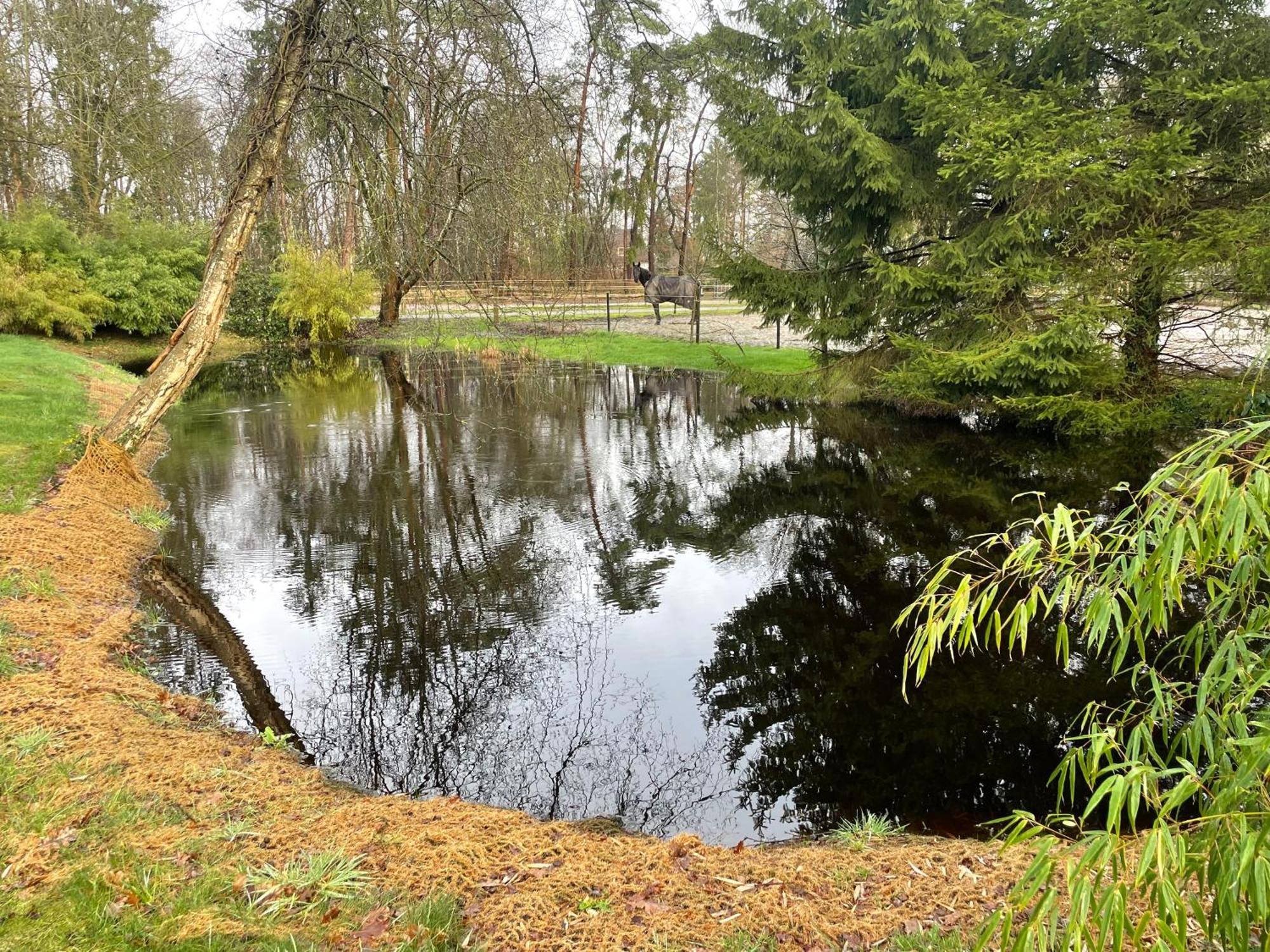 Haus Am Teich Διαμέρισμα Worpswede Εξωτερικό φωτογραφία