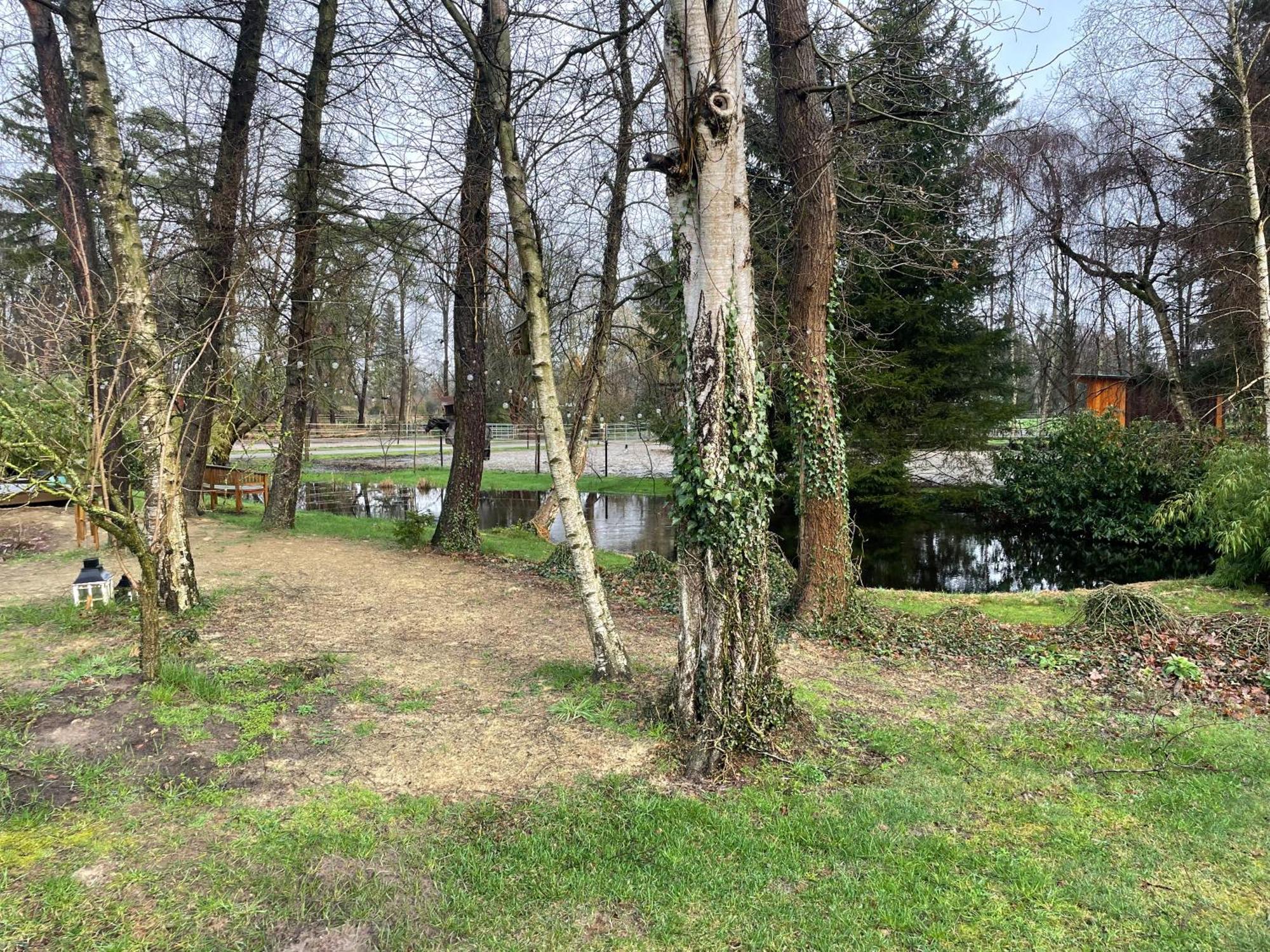 Haus Am Teich Διαμέρισμα Worpswede Εξωτερικό φωτογραφία